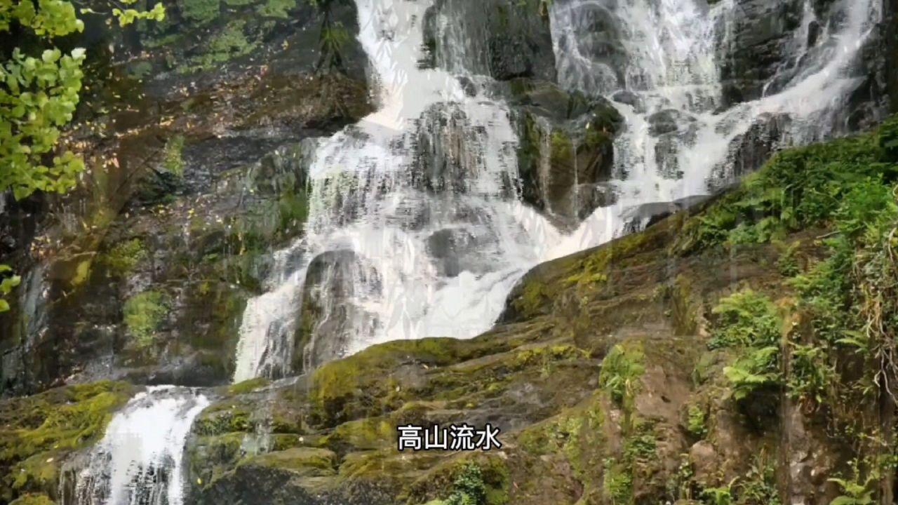 凝冻天气来袭 三都及时转移近百头牛
